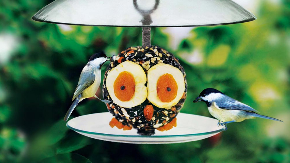 Bird Feeder