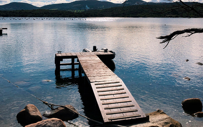 117756233_158560055875173_8461789634824133073_n