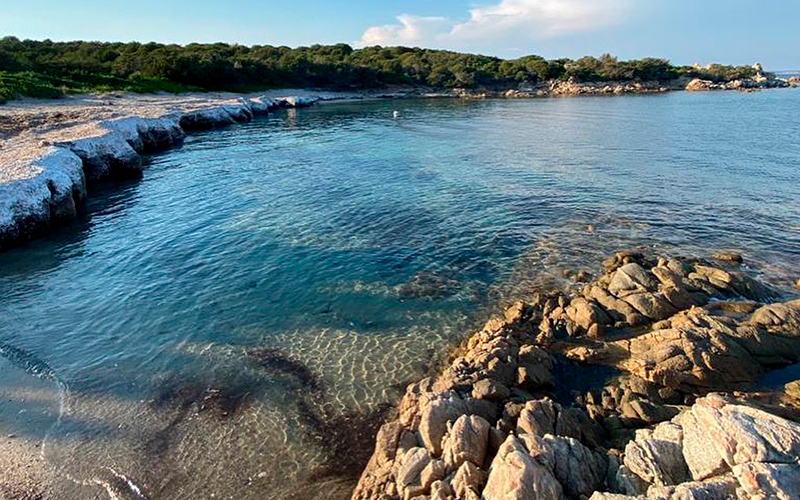 119638909_178128037281555_906892707593314316_n