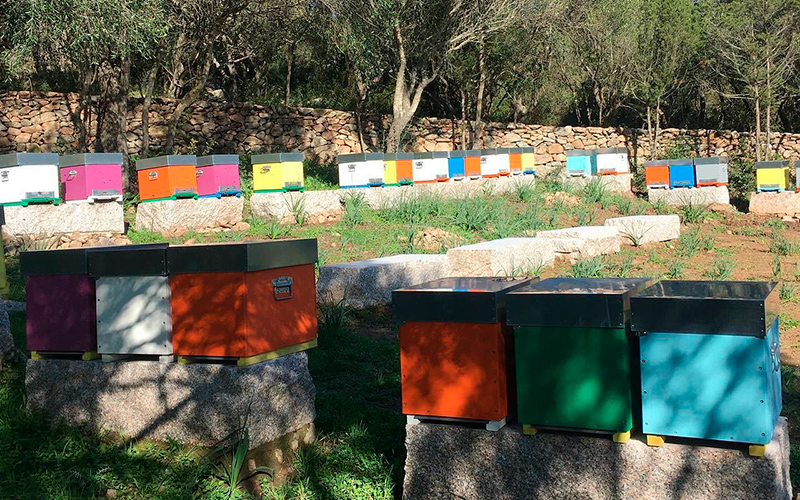 143218409_246085563819135_648609678258654335_n