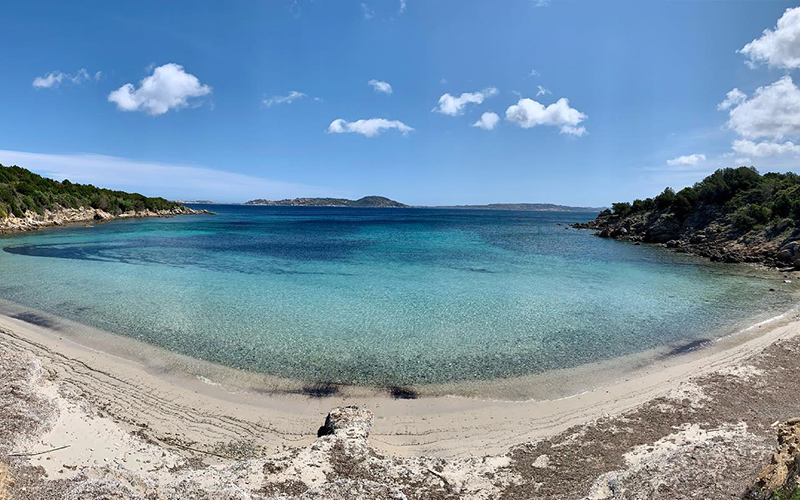 183524551_310297774064580_2901274558960841107_n