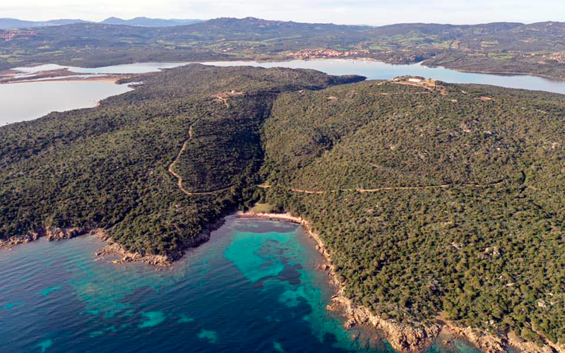 277735018_380540237412519_2068139139895080556_n