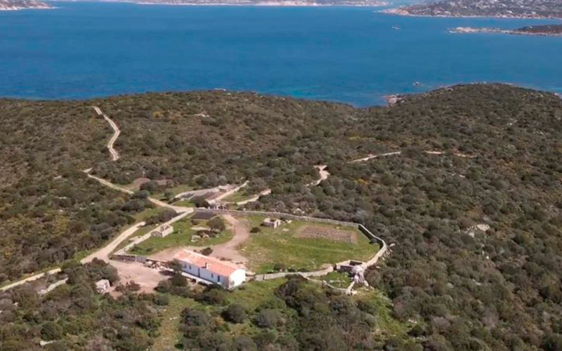 azienda_agricola_coluccia-1024x576