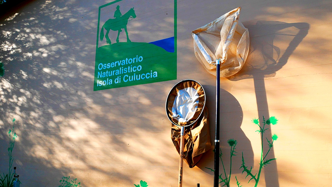 enhanced_Osservatorio-naturalistico-(5)