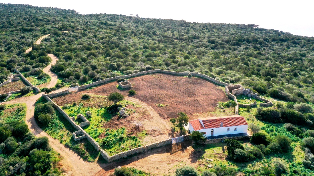 enhanced_Stazzu-Biru-(20)